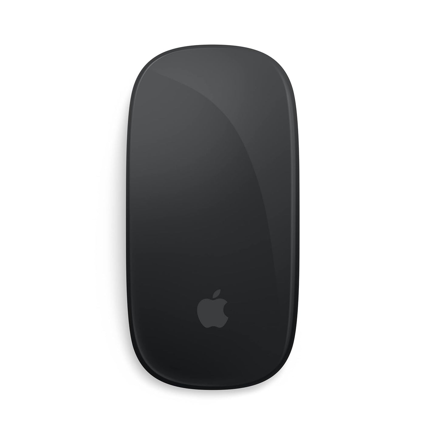 Apple Magic Mouse - Black Multi-Touch Surface - USB