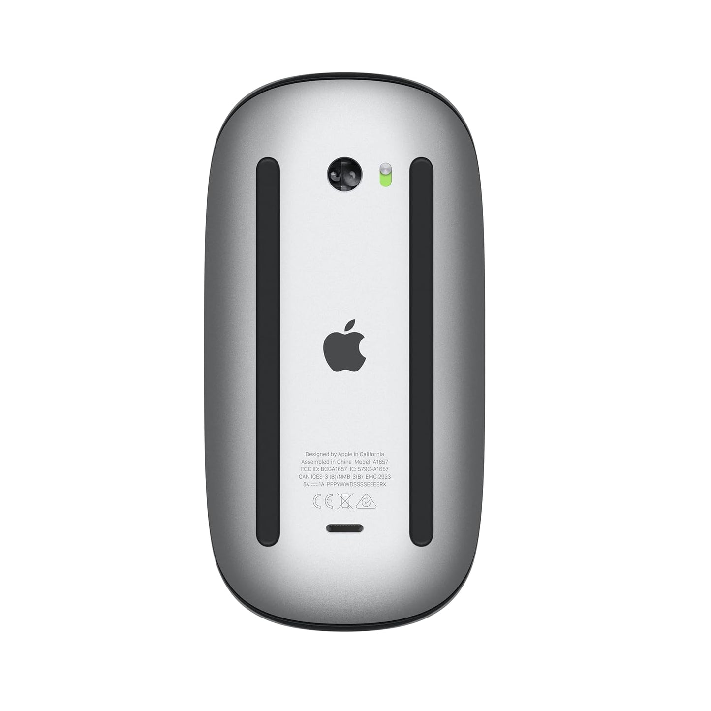 Apple Magic Mouse - Black Multi-Touch Surface - USB