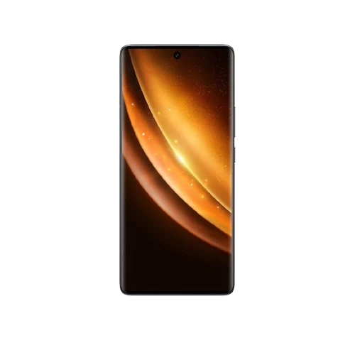 Vivo X100 5G 12GB/256GB Asteroid Black / Statgaze Blue