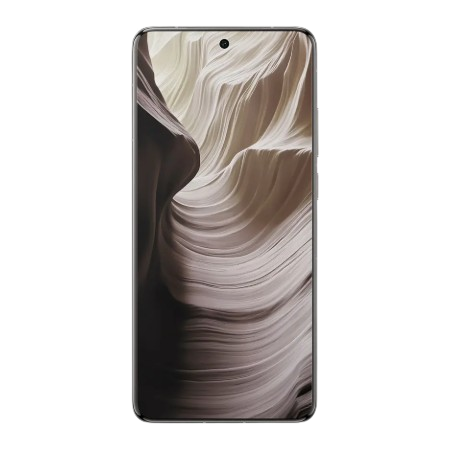 Vivo X200 Pro 16GB/512GB Titanium Gray